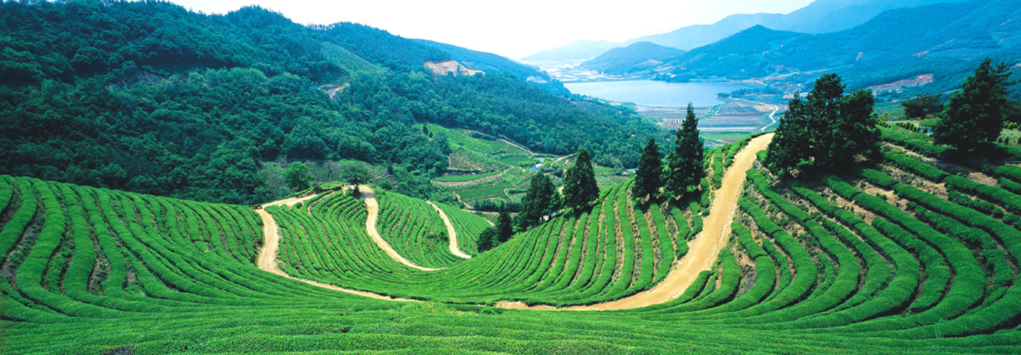 圖片說(shuō)明2